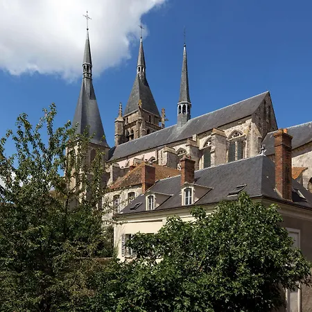 Western Blanche De Castille 3*